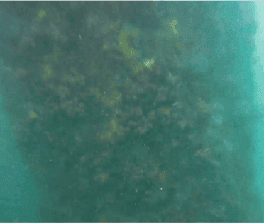 检测水下结构情况
