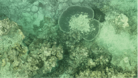 海洋环境监控